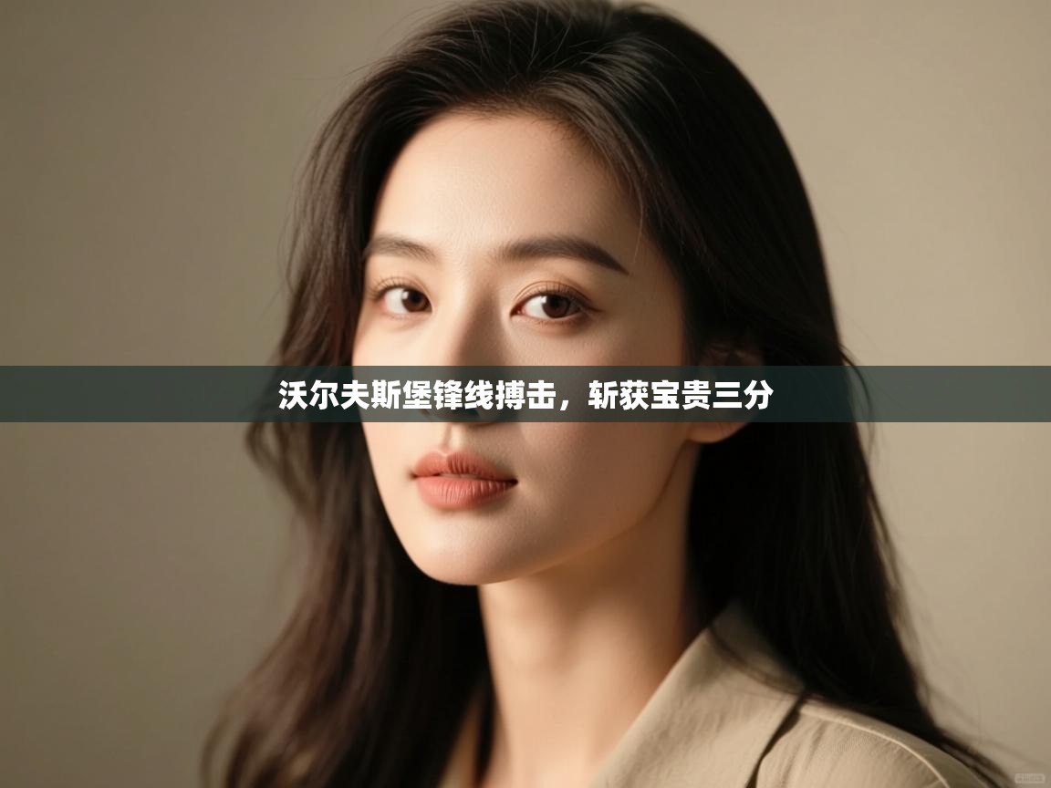 沃尔夫斯堡锋线搏击,斩获宝贵三分 第1张