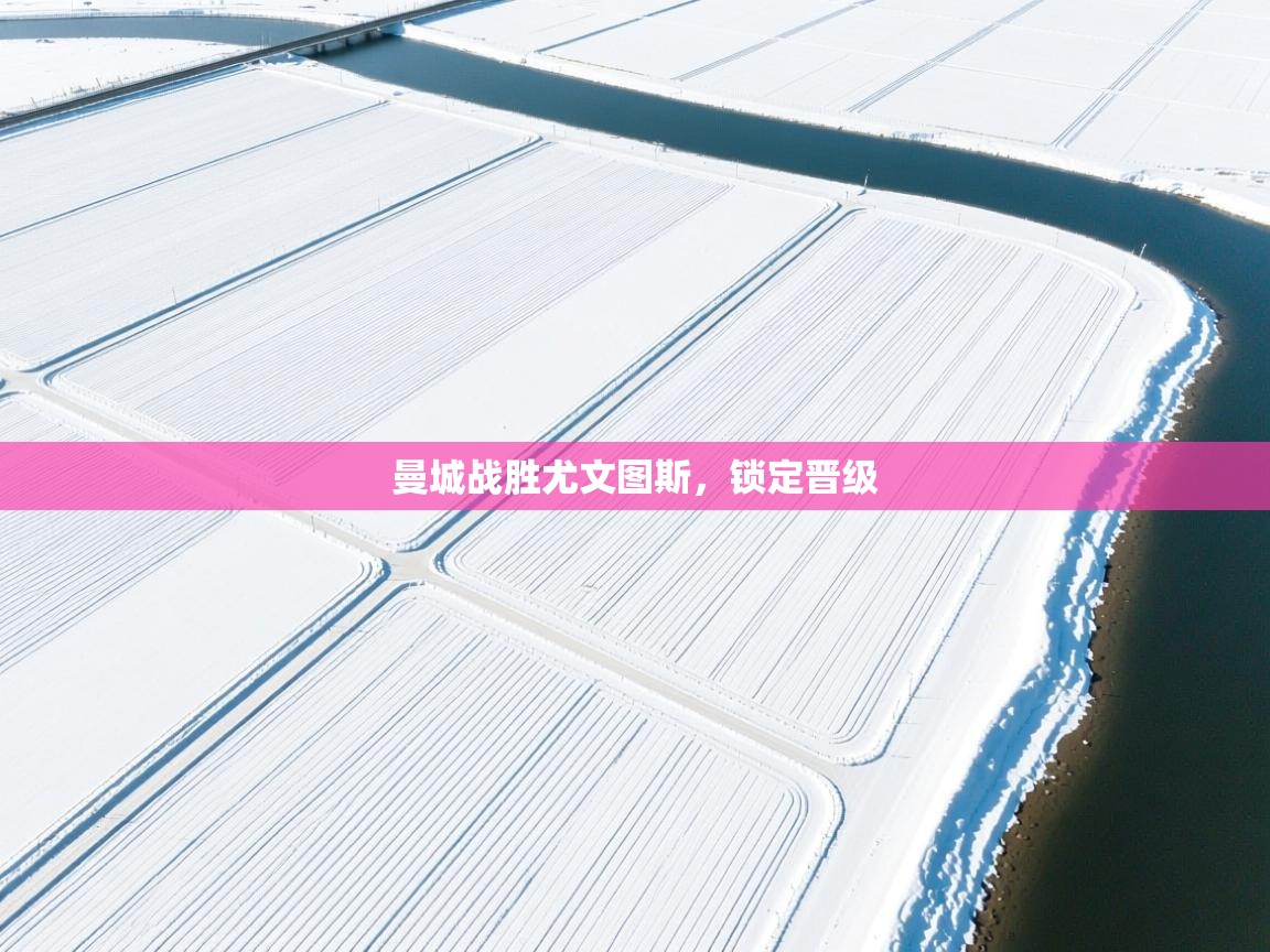 曼城战胜尤文图斯,锁定晋级 第2张